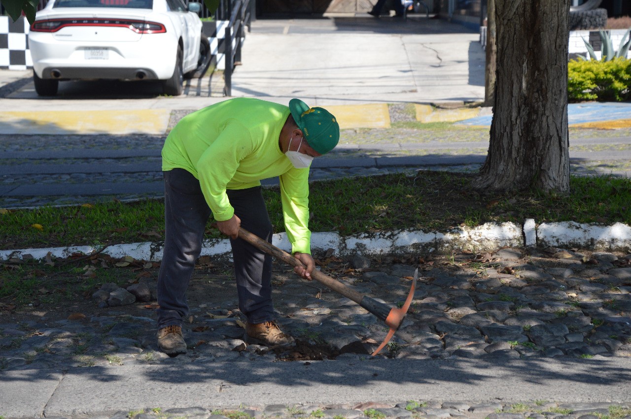 Trabajos de mantenimiento de vialidades en la ciudad.