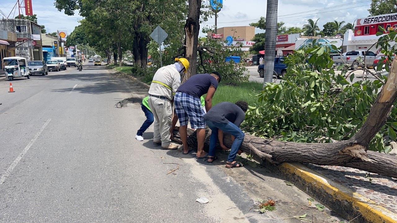 Organiza alcaldesa de Manzanillo mega brigada de limpieza