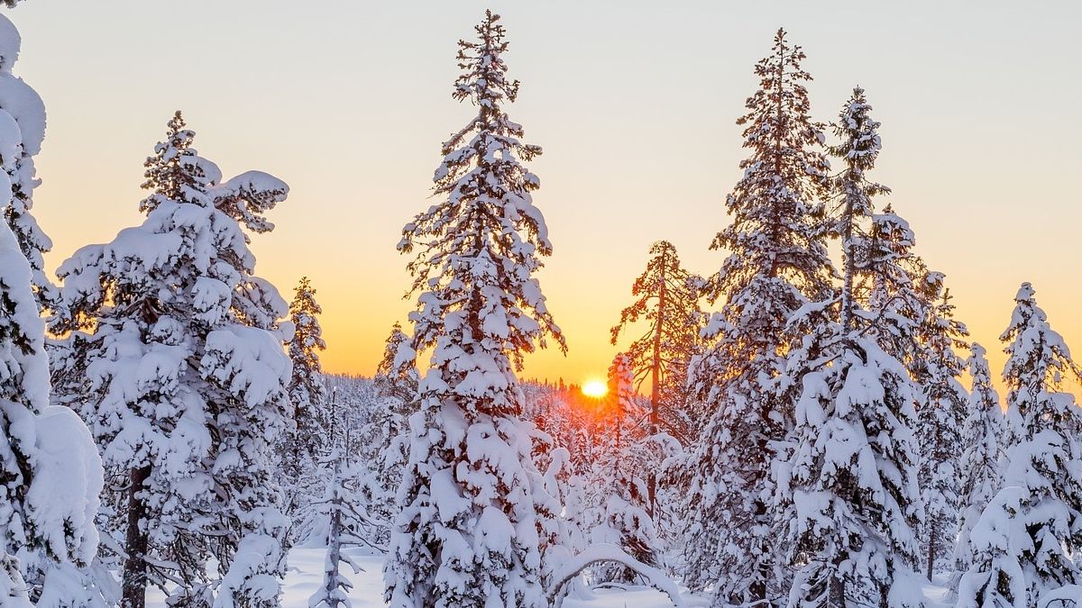 Inicia el Invierno