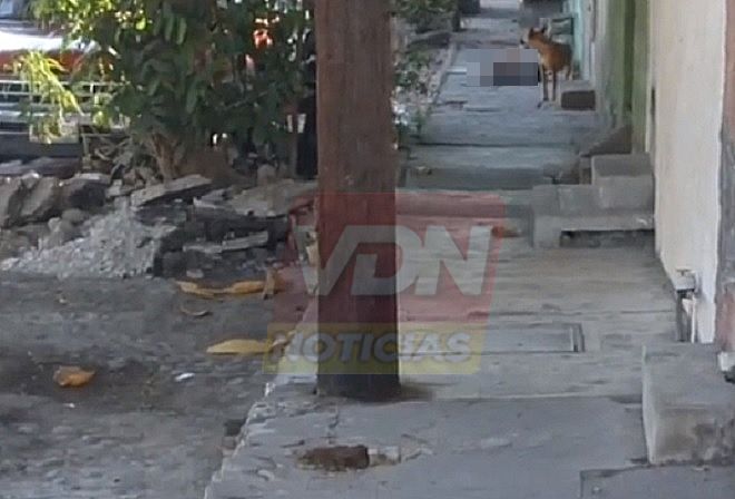 Asesinan a una mujer en el Zalatón de Juárez, en Colima