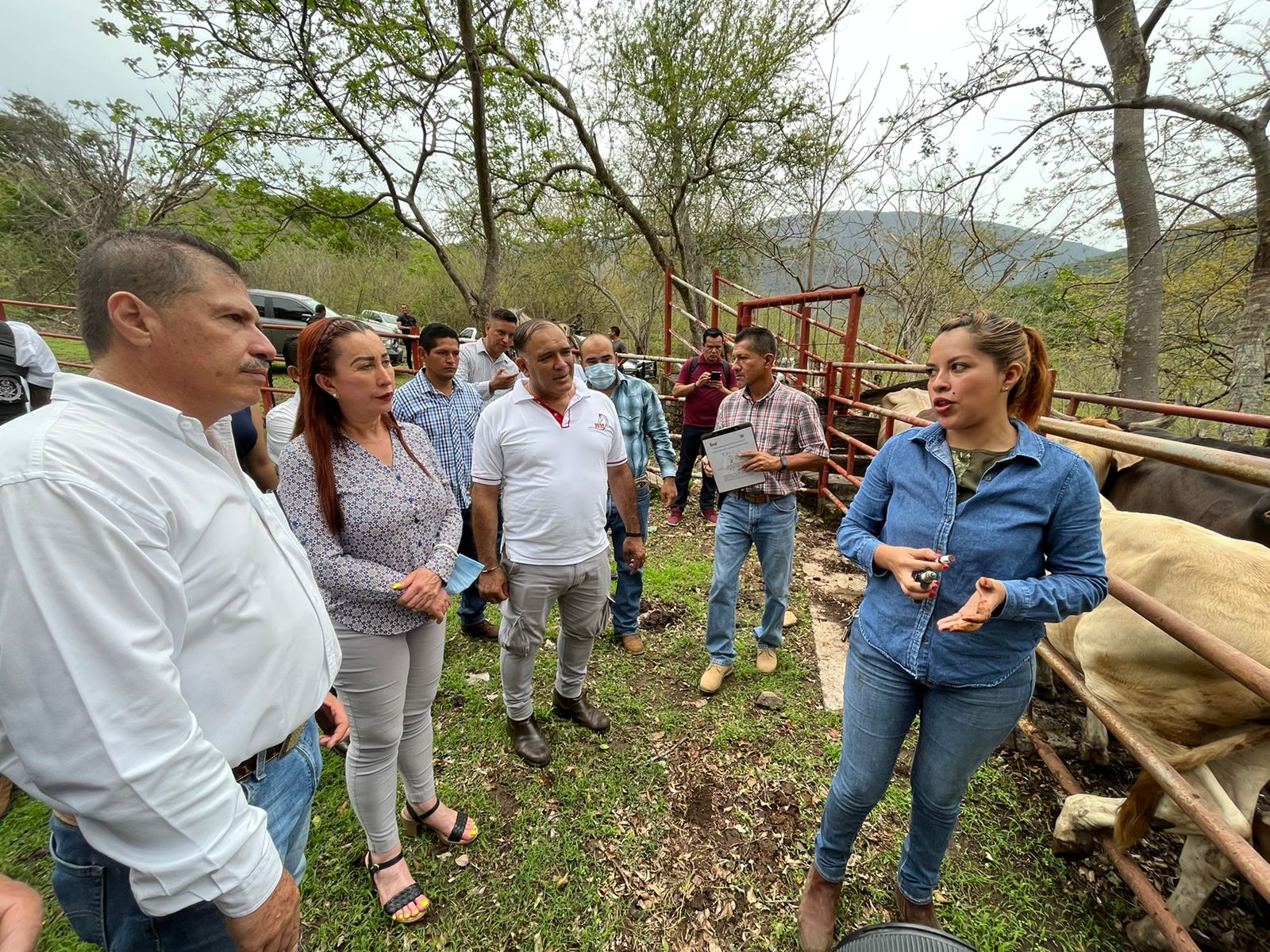 Inicia Villa de Álvarez programa contra la tuberculosis bovina