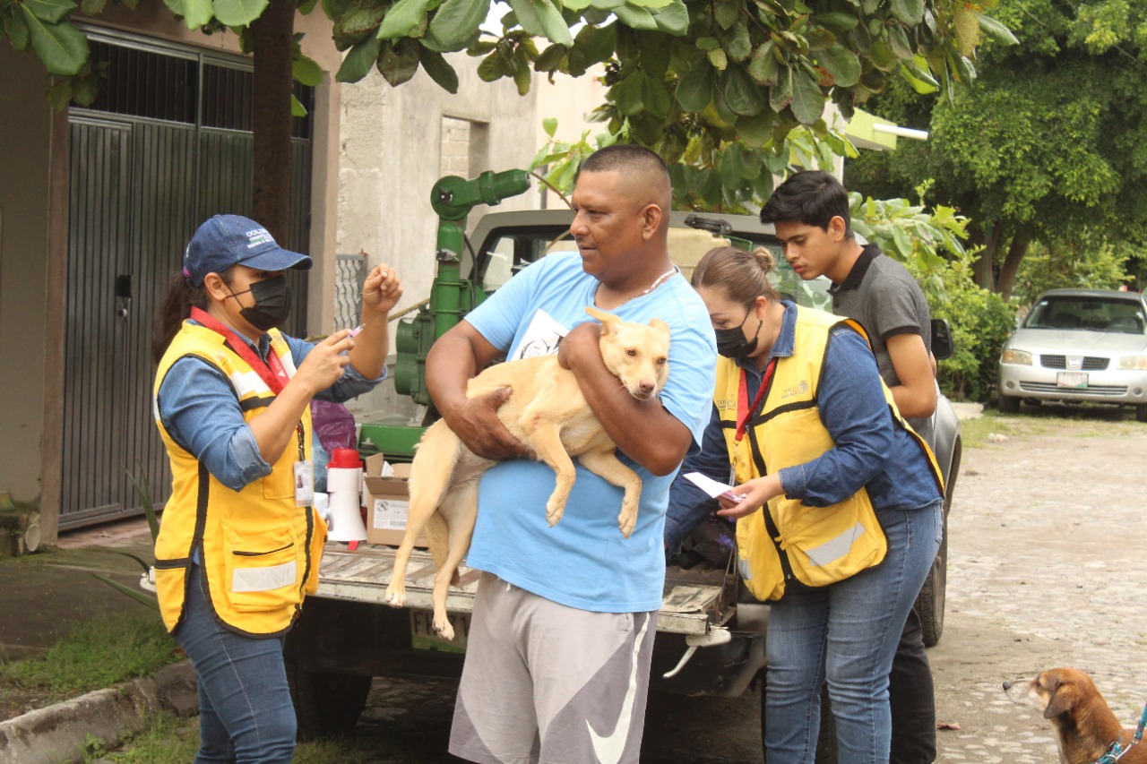 Salud Colima participa en la Jornada Nacional de Vacunación Antirrábica; la meta es proteger 92 mil perros y gatos este año