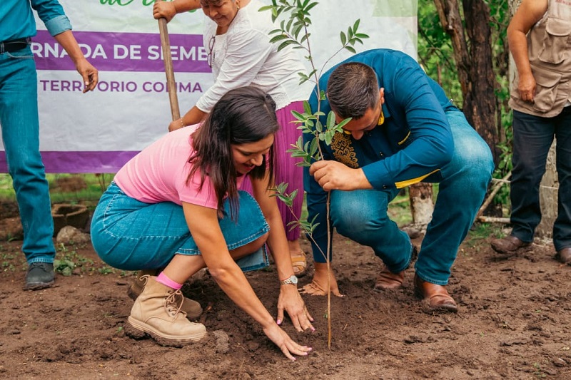 Más de 3 millones de árboles plantarán beneficiarios de Sembrando Vida en este temporal: Viridiana Valencia