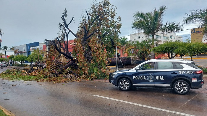 Exitoso operativo coordinado por Protección Civil y Bomberos de Manzanillo durante las intensas lluvias registradas anoche