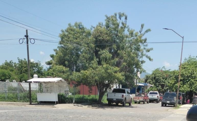 Localizan restos humanos embolsados en la colonia Buenavista, en VdeA