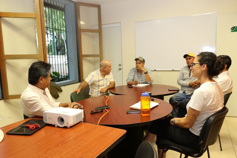 Subseder: productores de aguacate se comprometen a no deforestar entorno