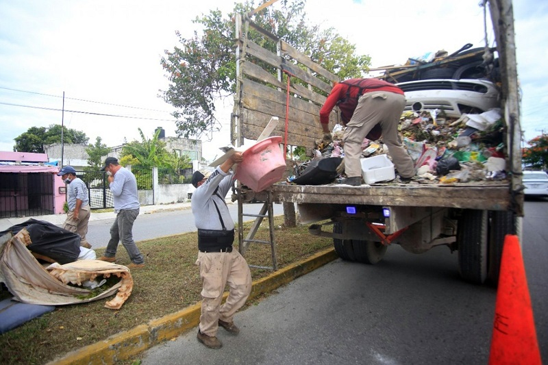 Salud Colima: Estable el dengue en el estado; ocho casos en las últimas cinco semanas y ninguna defunción este año