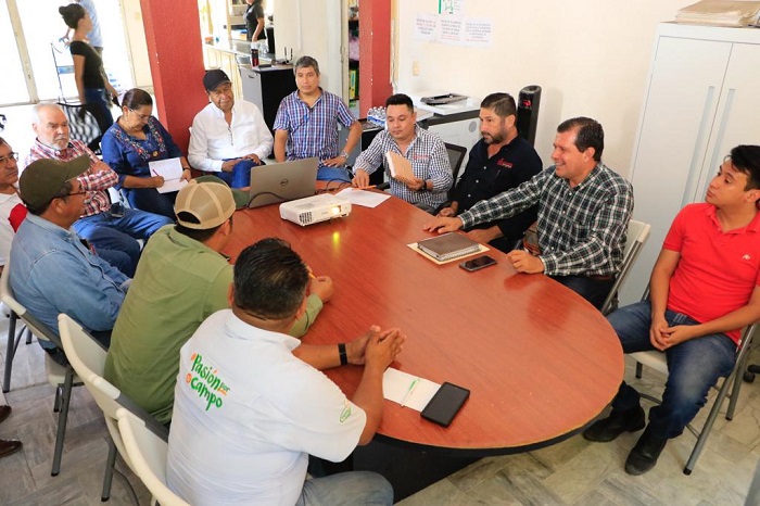 Gobierno de Colima y sectores apícola y empresarial acuerdan acciones para proteger a las abejas