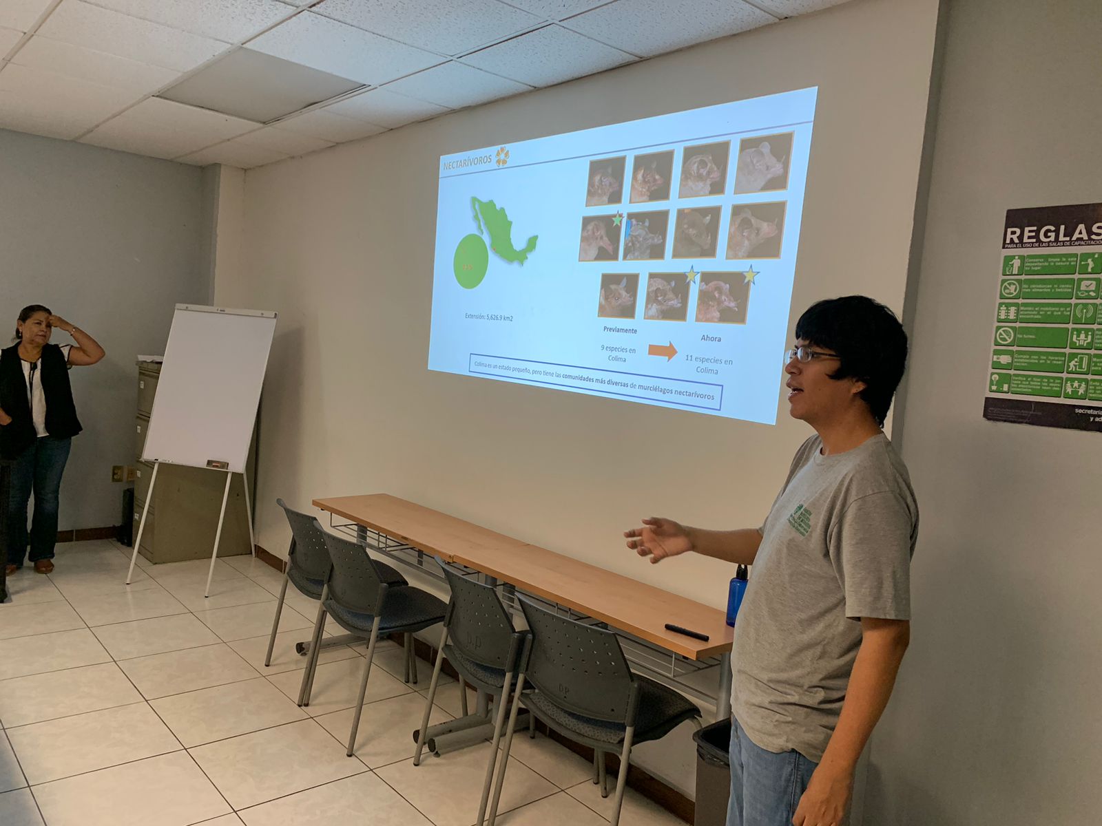 Biodiversidad de Colima protege a los murciélagos; generan un beneficio incalculable