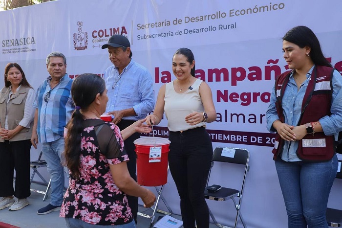 Destina Gobierno Colima 1.5 mdp para el control del picudo prieto