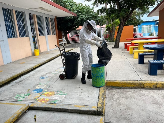 UEPC retiró enjambre de abejas en primaria de Colima; no hubo personas afectadas