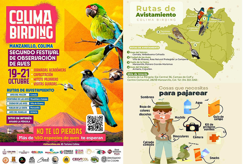 ‘Colima Birding’ es considerado el paraíso de las aves en México