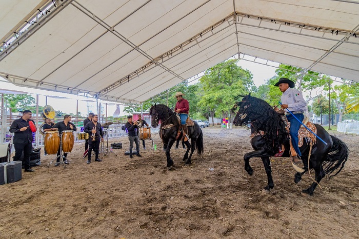 Concurso del caballo bailador este sábado en la Feria de Colima, con entrada gratis