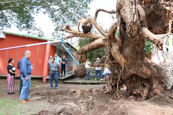 Secretaría de Educación y Cultura supervisa escuelas afectadas por el huracán ‘Lidia’