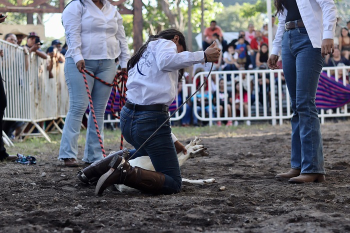 Muy divertido resultó el concurso de «Amarra la Chiva” en la Feria de Colima