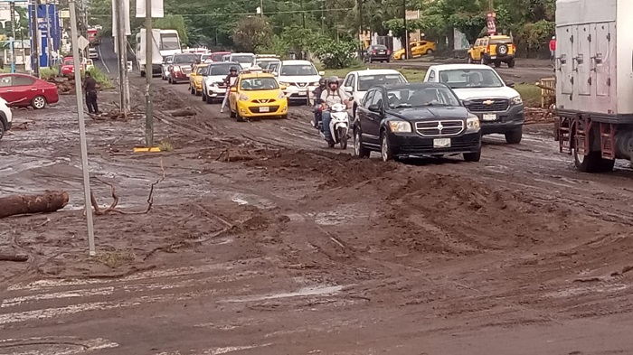 ‘Lidia’ dejó árboles caídos, derrumbes e inundaciones en Colima
