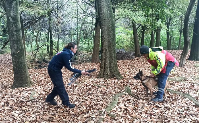 Protección Civil Manzanillo se capacita con binomios caninos para búsqueda y rescate