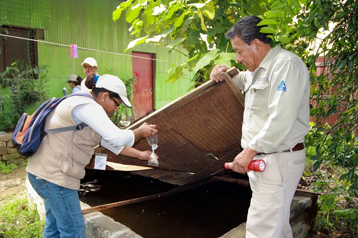 Salud: Colima cerró el año 2023 en el lugar 16 a nivel nacional en dengue