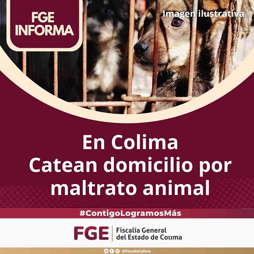 En Colima catean domicilio por maltrato animal