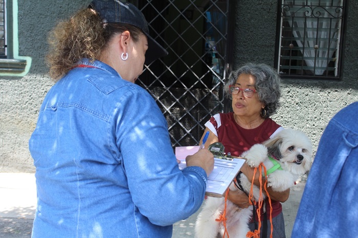 Salud Colima instala 42 puestos fijos de vacunación antirrábica gratuita