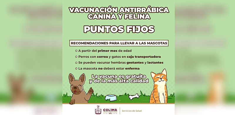 Salud Colima invita a llevar control de vacunación a perros y gatos