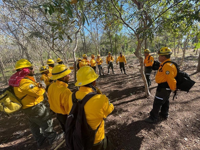 Se reporta listo personal de PC y Bomberos de Manzanillo en prevención y combate de incendios forestales en coordinación con CONAFOR