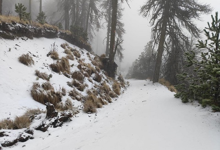 Nevado de Colima está cerrado al público; UEPC exhorta a no acercarse para evitar accidentes