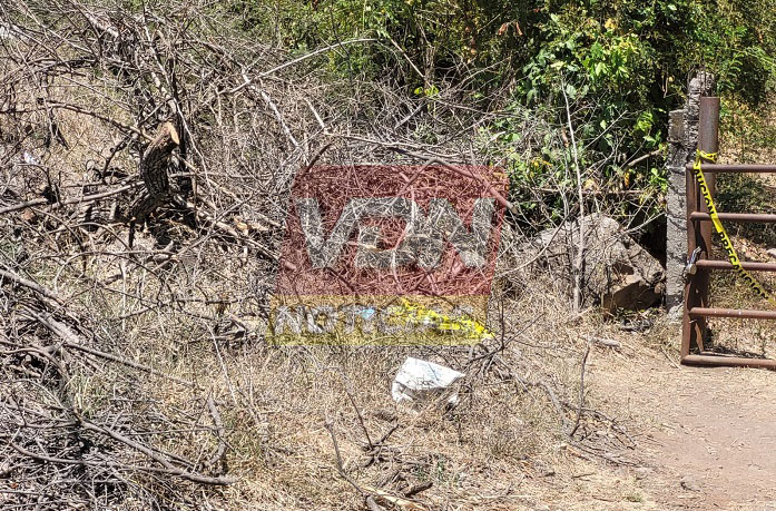 Localizan restos humanos en predio rumbo a Ocotillo, en Cuauhtémoc