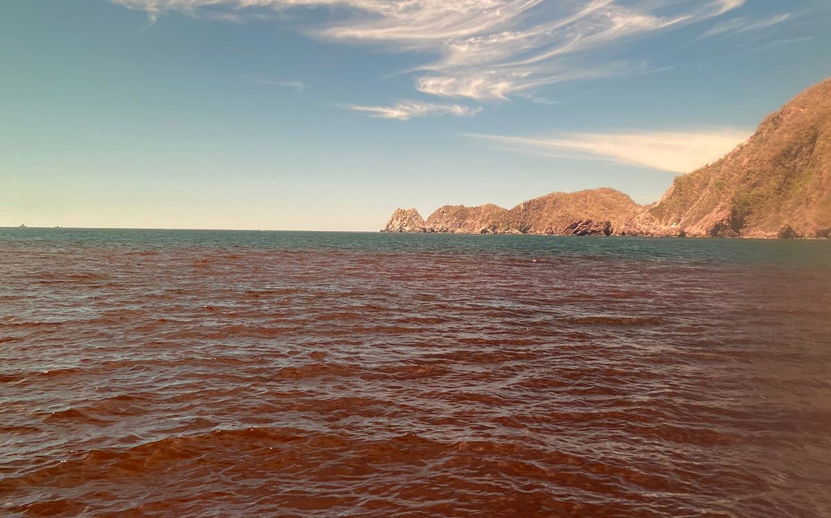 Persiste marea roja no tóxica en bahías de Manzanillo