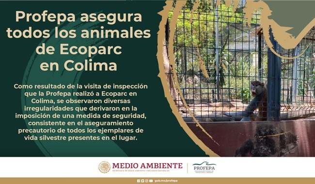 Asegura Profepa todos los animales de Ecoparc en Colima