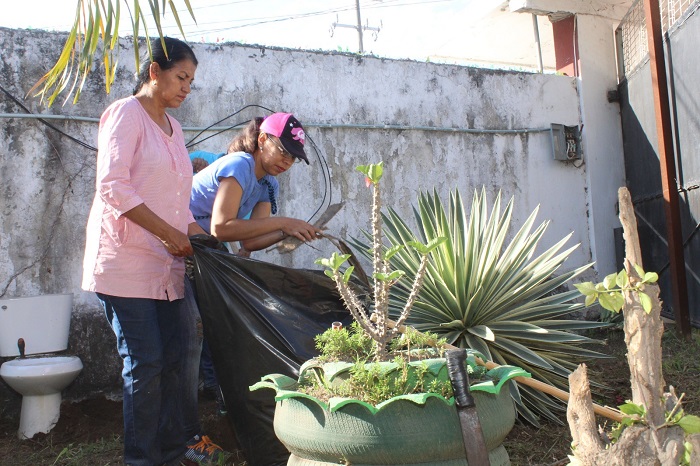 Enfermedad de Chagas se previene con adecuada limpieza de la casa: Salud Colima