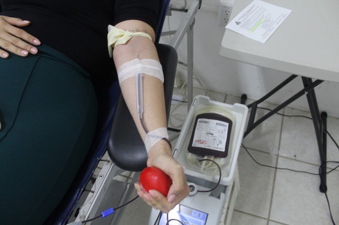 Salud: es fundamental la detección oportuna de la hemofilia