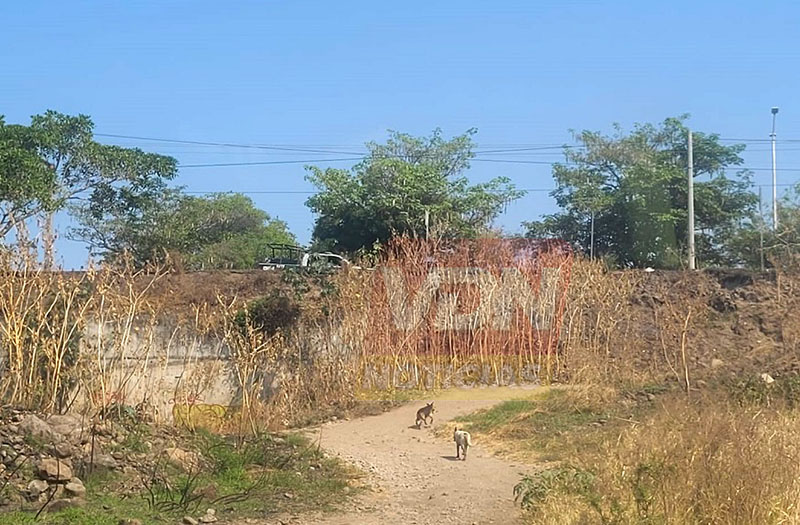 Cuerpo en avanzado estado de descomposición es localizado en una brecha rumbo a Quesería