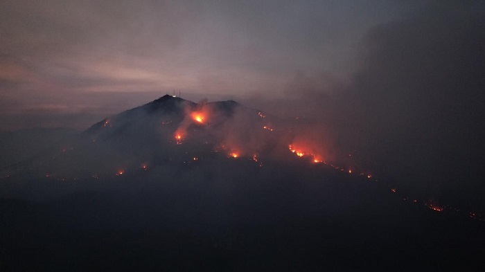 126 combatientes de UEPC y dependencias federales continúan desplegados combatiendo incendios en Manzanillo