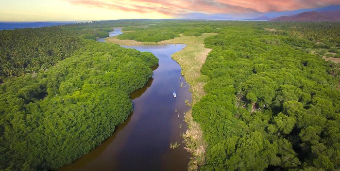 Firma Contecon Manzanillo convenio de colaboración para proteger la Laguna de Cuyutlán
