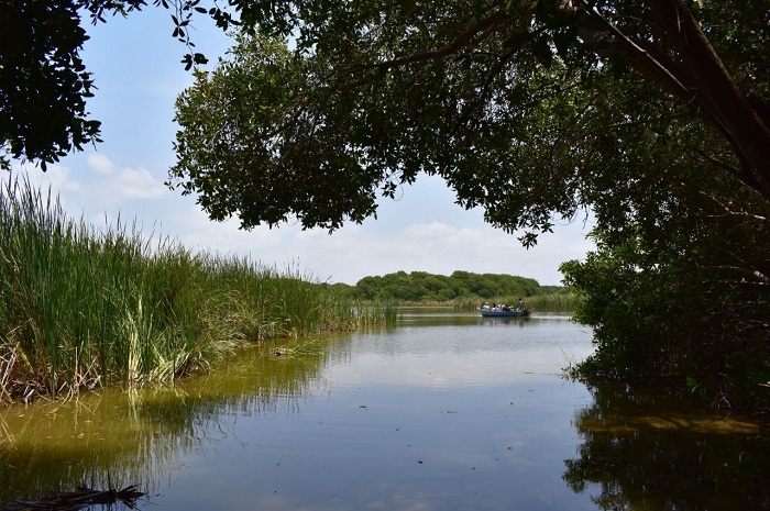 Gobierno de Colima trabaja para conservar su territorio y su basta biodiversidad: Imades