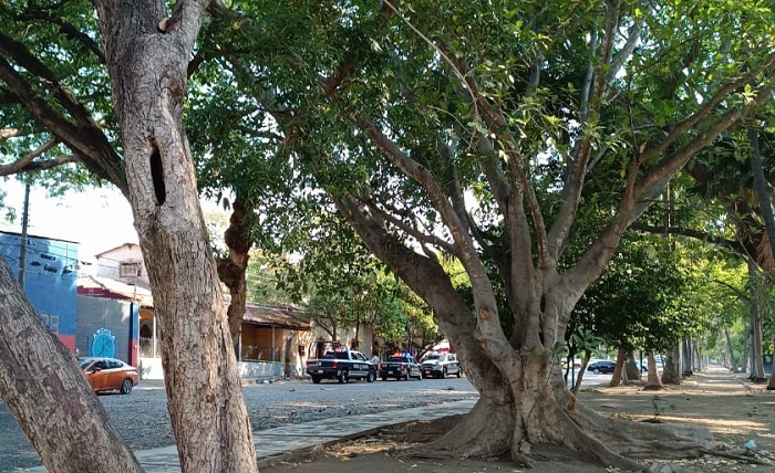 En la colonia Popular, en Colima, ejecutan a una mujer