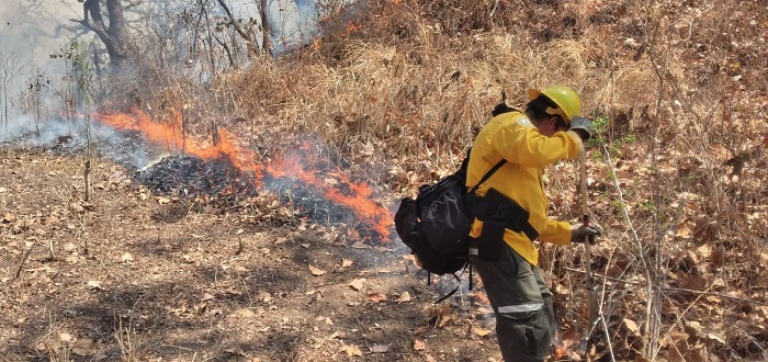 UEPC y Conafor reportan 70% de avance en el control a incendios forestales en varios municipios