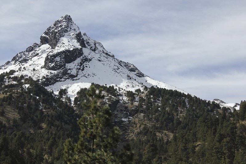 15 años de conservación y biodiversidad en el Parque Estatal Bosque Mesófilo Nevado de Colima