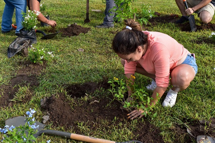 Seidum e Imades invitan a reforestar el Parque Metropolitano de Tecomán, este sábado