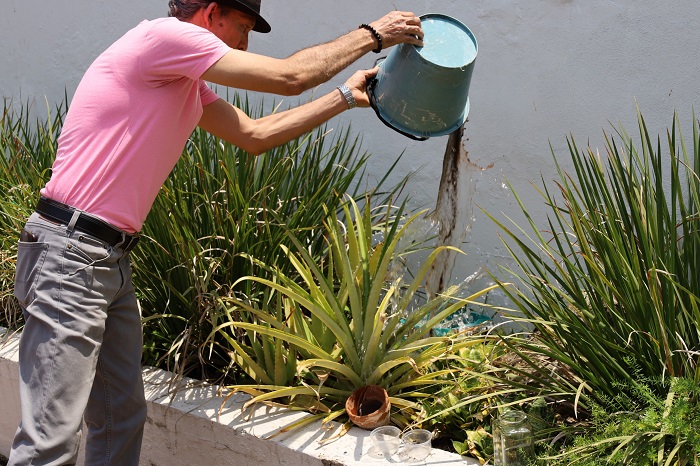 Del 15 al 19 de julio, Salud Colima hará control larvario en los 5 municipios de riesgo