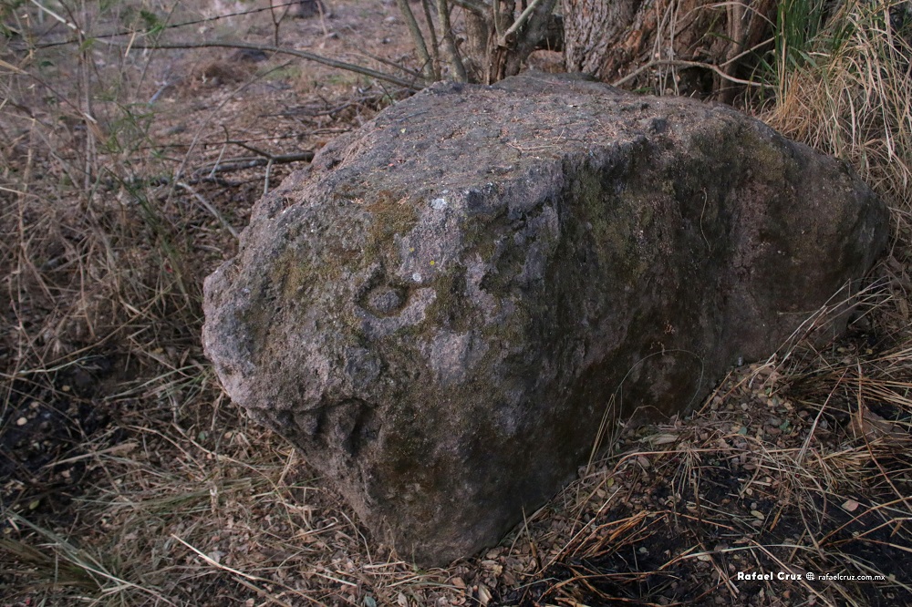 Sorprende hallazgo de escultura de Cánido en Comala