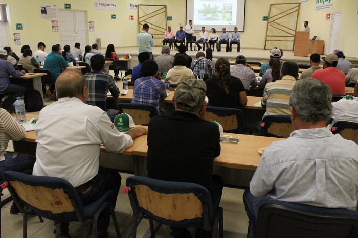 Inició en Colima el curso ‘Manejo Integrado del Limón Mexicano con HLB’