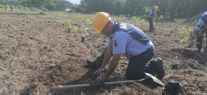 Marina participa en jornada de reforestación en la comunidad de Jalipa, en Manzanillo, Colima