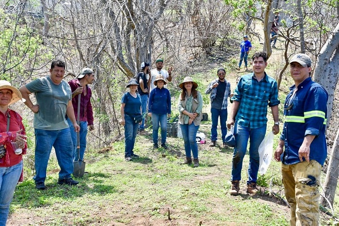 Sembrando Vida realizó preparativos de terreno y plantas para la reforestación del Cerro del Toro