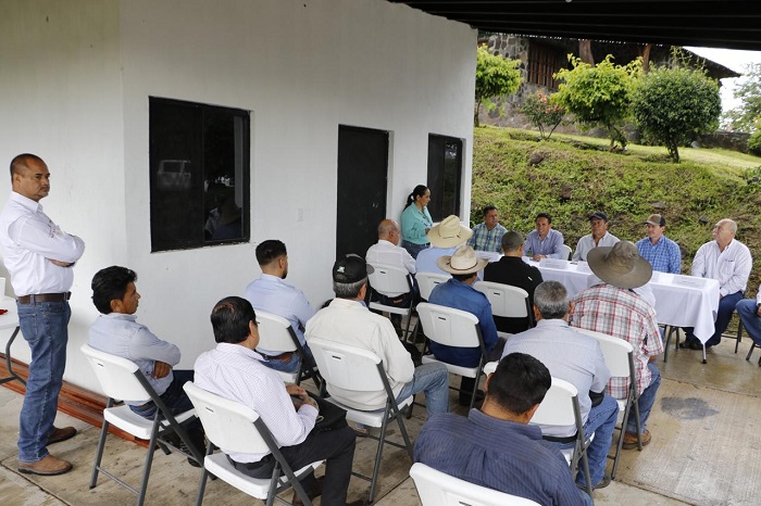 Inició verificación para reconocer al Guardián del Volcán como zona libre de plagas