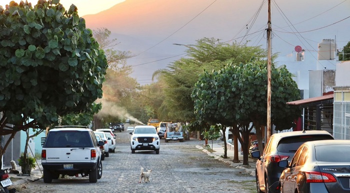 Salud Colima mantiene la fumigación contra el dengue en el estado; este viernes será en Tecomán