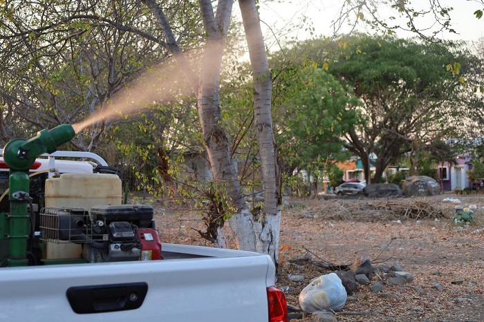 Salud Colima fumiga contra dengue este miércoles en Tecomán, Manzanillo, La Villa y Coquimatlán