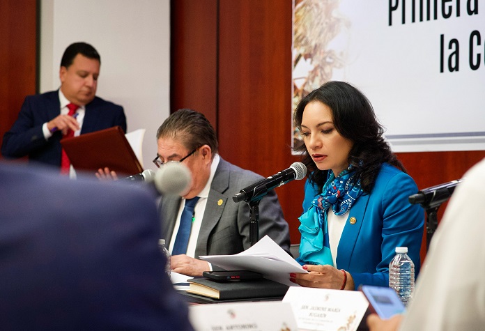 Advierte Mely de riesgos para la democracia y DH al desaparecer organismos autónomos