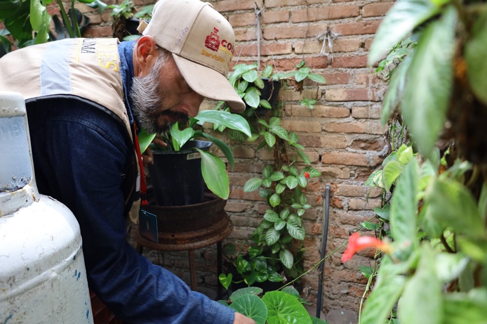 Salud Colima prosigue con la estrategia de control larvario en 6 municipios, la siguiente semana